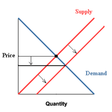 Understanding the Correlation Between Price and Quality